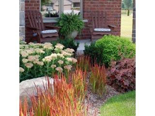 Landscape Lighting Installation | Mountviewservices.com