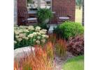 Landscape Lighting Installation | Mountviewservices.com