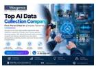 Top AI Data Collection Company for Accurate Training Data
