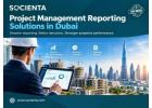 Real Estate Business Intelligence Software for Better Control