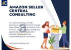 Amazon Marketplace Consulting Built for Rankings, Growth, and Profit 