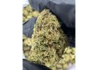  Joker’s Candy THCA Flower: Strain Characteristics and Quality Guide