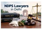 Need Experienced NDPS Lawyers in Delhi for Strong Legal Defence?