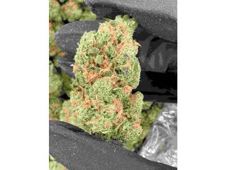 Blue Dream THCA Flower