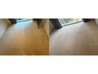 Carpet Steam Cleaning Melbourne for Deep Carpet Refreshing
