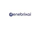  Denebrix AI | Intelligent AI Solutions for Business Growth