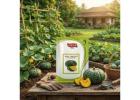Nidhi Kitchen Garden