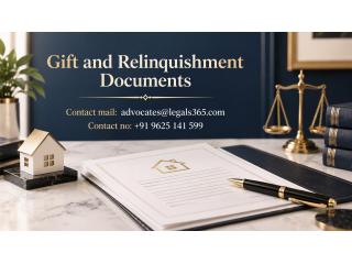 Need Help with Gift and Relinquishment Documents? Get Professional Legal Guidance