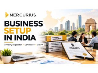 Setting Up a Company in India: Guidance for Business Owners