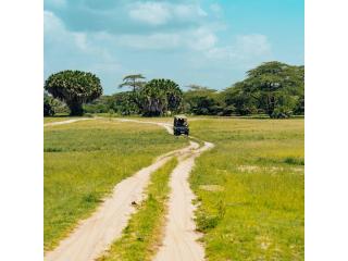 Private Tanzania Safari from Arusha | Serengeti & Ngorongoro, 3 to 7 Days