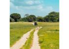 Private Tanzania Safari from Arusha | Serengeti & Ngorongoro, 3 to 7 Days