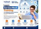 Learn Service Mesh Training with Multisoft Virtual Academy for Cloud Applications