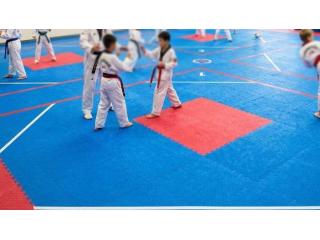 Taekwondo Mats & Equipment | Gravolite