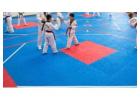 Taekwondo Mats & Equipment | Gravolite