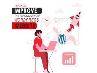 Professional WordPress Website Design Services India