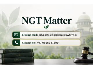 Why Should You Seek Professional Legal Assistance for an NGT Matter in India?