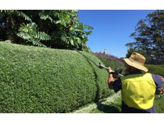 Semms Property Services: Thoughtful Landscape Design for Bowral Homes