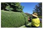 Semms Property Services: Thoughtful Landscape Design for Bowral Homes