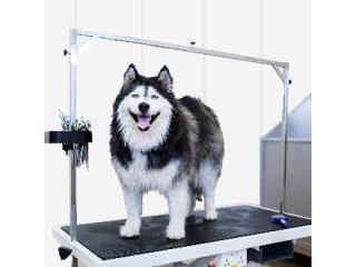 Protect Dog Kennel Walls from Cracks and Chews with Duramax Vinyl Panels