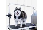 Protect Dog Kennel Walls from Cracks and Chews with Duramax Vinyl Panels