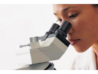 Mold Remediation Bronx for Homes and Businesses