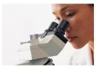 Mold Remediation Bronx for Homes and Businesses