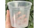 Orchid Pots for Indoor Gardening and Orchid Collections