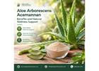 Aloe Arborescens Acemannan: Benefits and Natural Wellness Support | Deca Aloe 