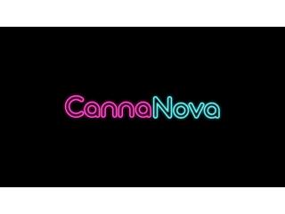 Chocolate Chip Cookies & Product Details | CannaNova