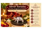 Buy Pure Silver Tortoise Online at Best Price | The Stardust Studio