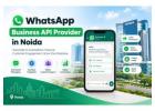 WhatsApp Business API Provider in Noida for Better Customer Reach