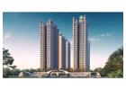Flats Price in VVIP Yamuna: Compare Three Spacious Home Options