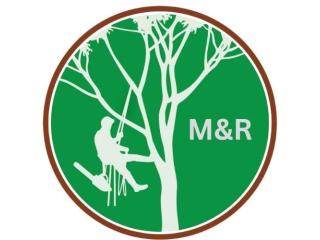 M&R Tree services