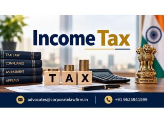 How Can Professional Income Tax Services Help You Avoid Tax Disputes and Penalties?