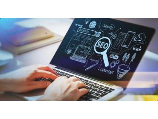 Professional SEO Services to Grow Your Business | IndigoSEO