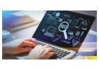 Professional SEO Services to Grow Your Business | IndigoSEO