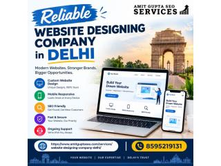 Professional Website Designing Company in Delhi