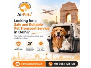 Looking for a Safe and Reliable Pet Transport Service in Delhi?
