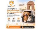 Looking for a Safe and Reliable Pet Transport Service in Delhi?