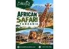 African Safari Tanzania: Explore the Wild - Proud African Safaris