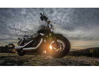 Start Your Search for a Harley Road King Motorcycle Today