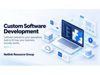 Netlink Resource Group | Custom Software Development Services