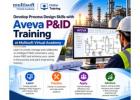 Develop Process Design Skills with Aveva P&ID Training at Multisoft Virtual Academy