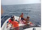 Best Private Tour Company Tenerife | Privatetourtenerife.com