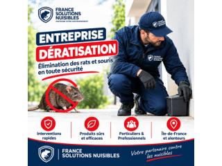 Entreprise Dératisation : Solutions contre les Rats et les Souris