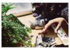 How Can You Find the Cheapest Weed Prices in Missouri?
