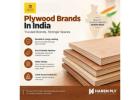 Plywood Brands In India