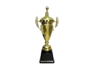 Custom Metal Award and Trophies | Premium Recognition Awards