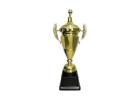 Custom Metal Award and Trophies | Premium Recognition Awards