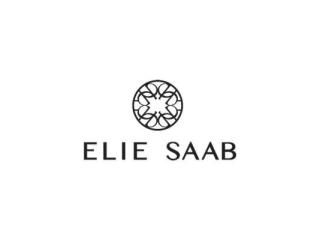 Best Luxury Dresses Online for Every Occasion - Elie Saab
